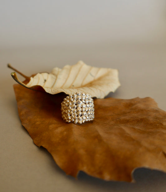 Anillo Panal