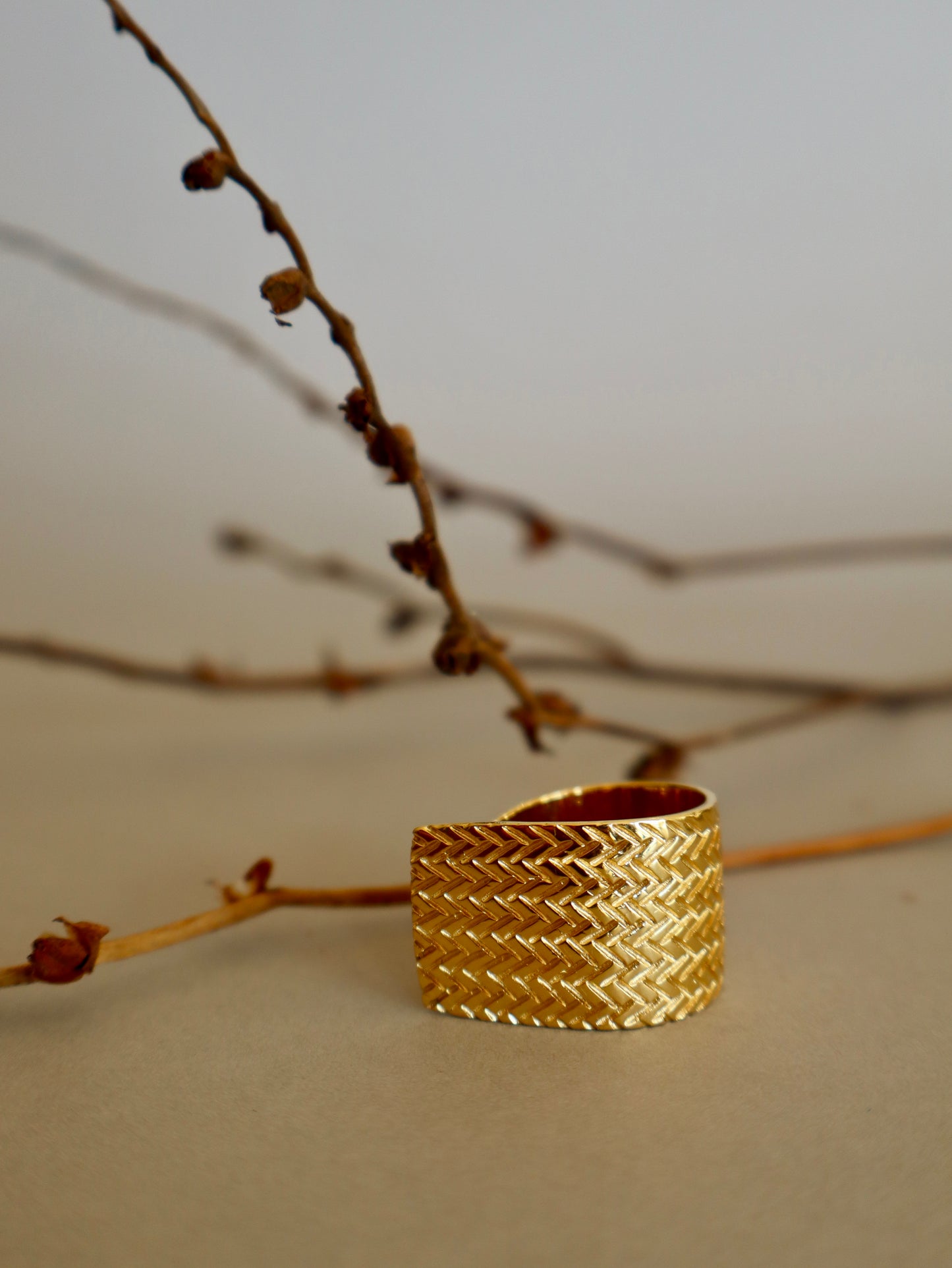 Anillo Palma Plano