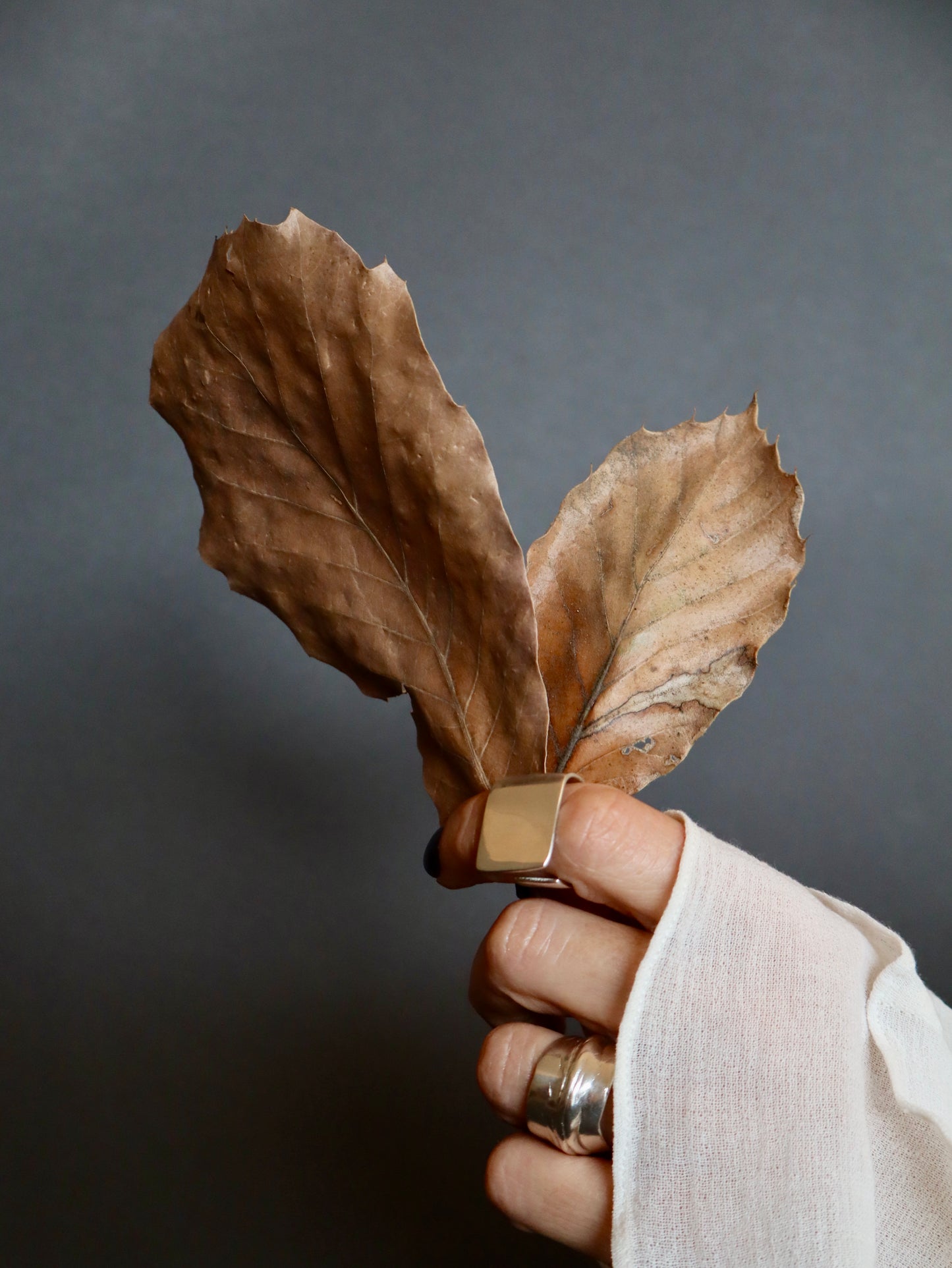 Anillo Plano Abierto