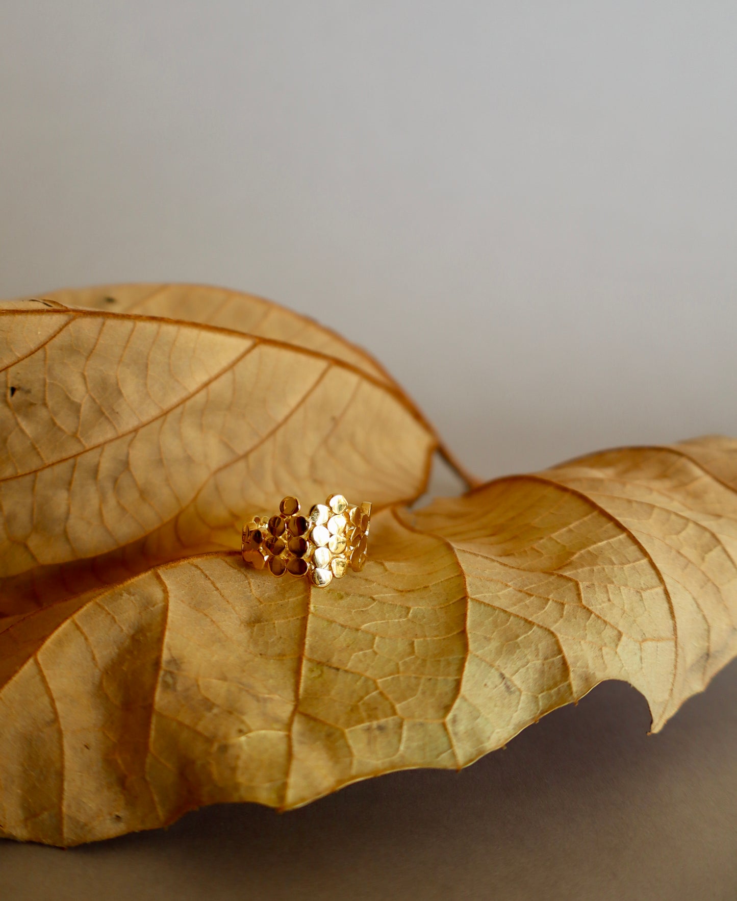 Anillo Panal Plano