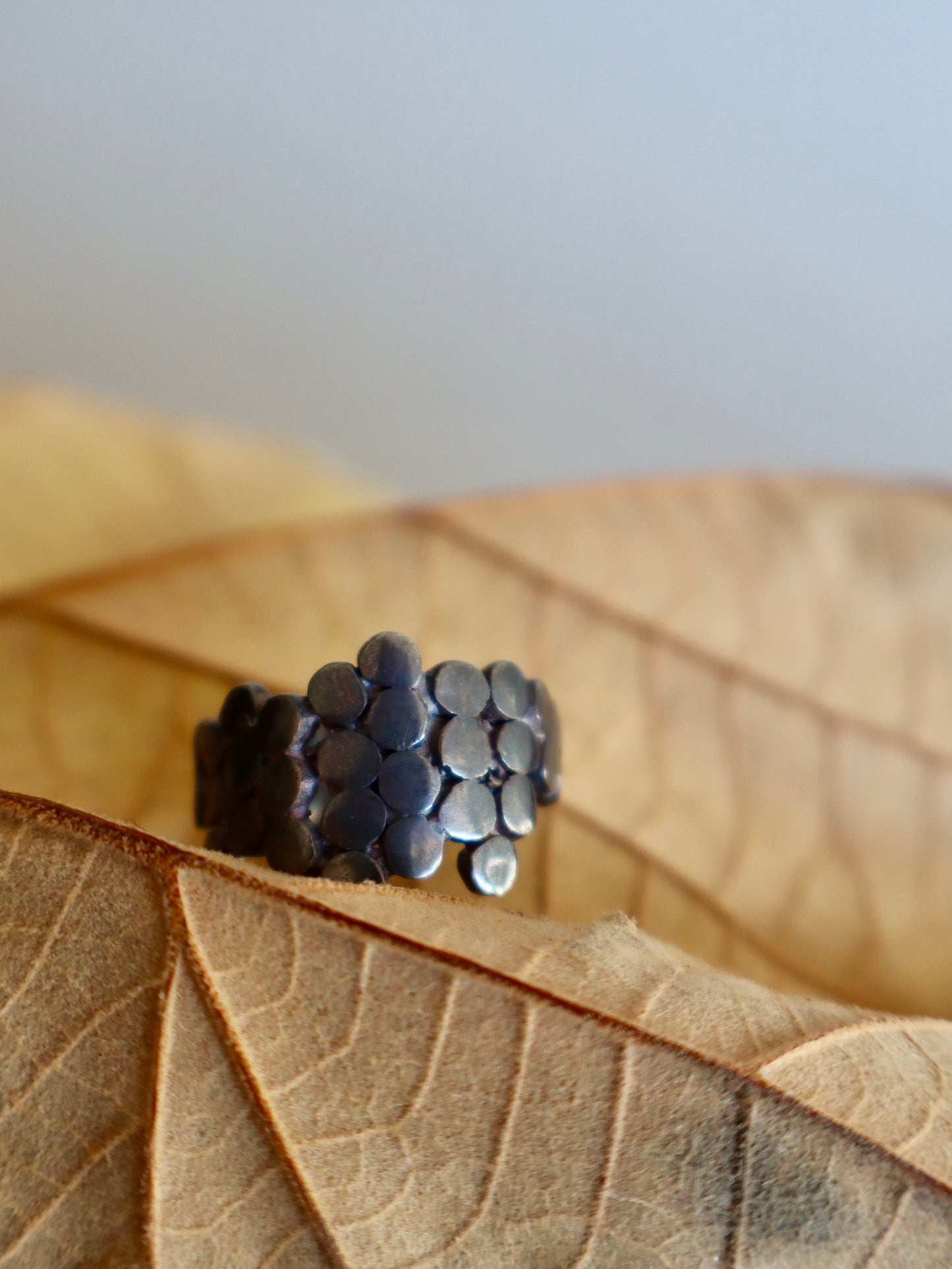 Anillo Panal Plano