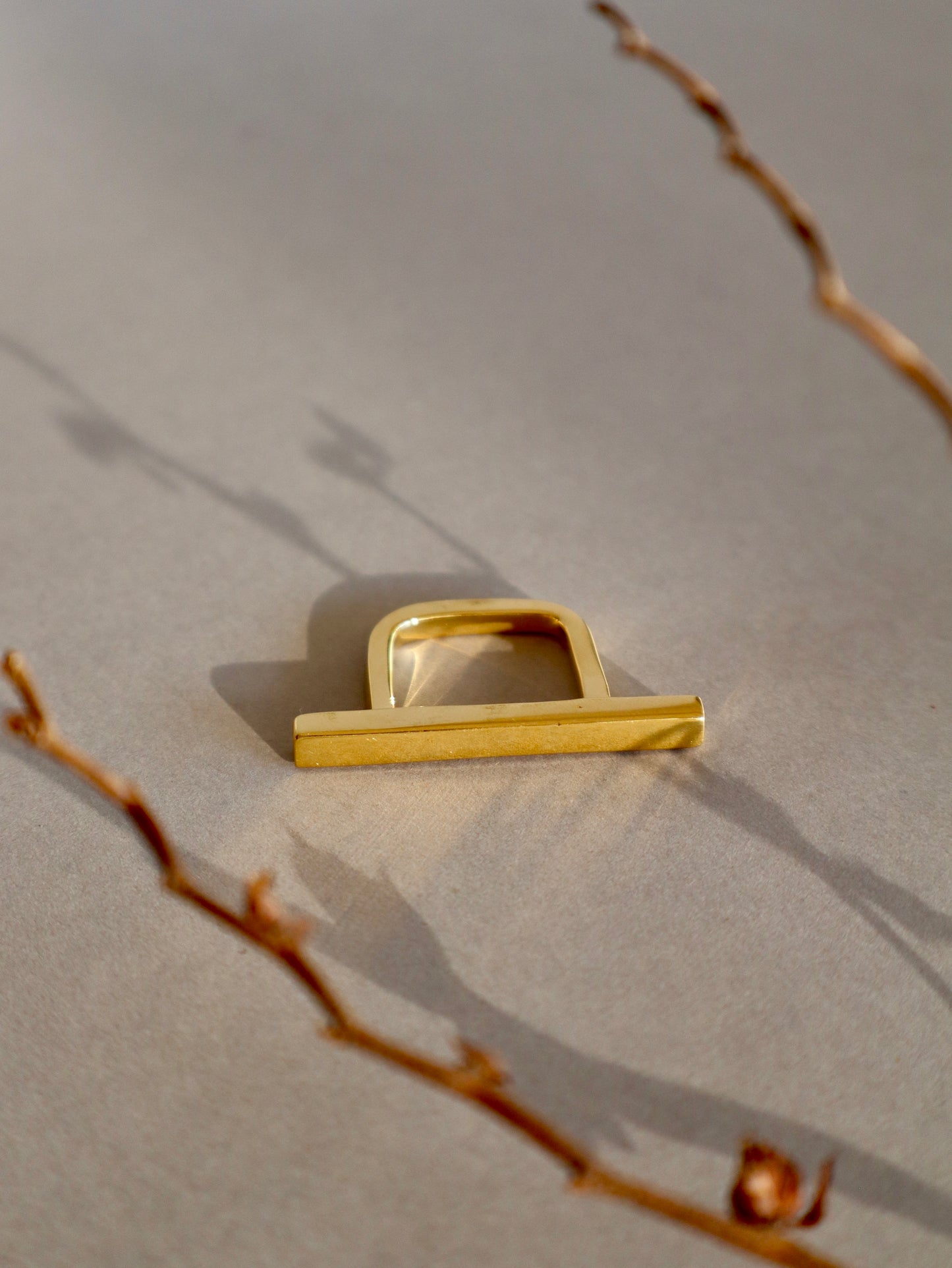 Anillo Barra