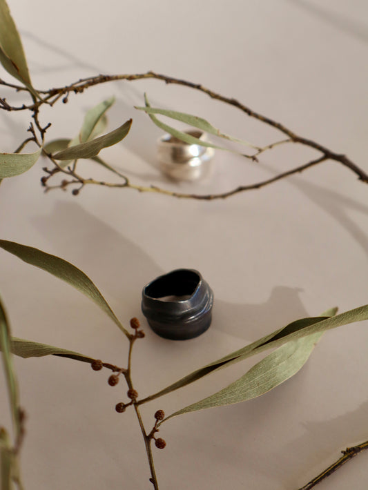 Anillo Pliegue