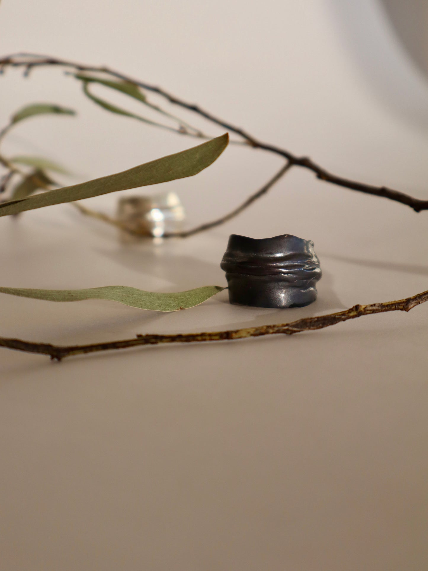 Anillo Pliegue