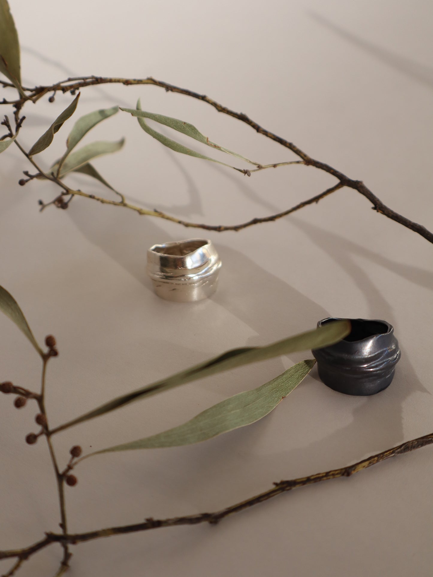 Anillo Pliegue