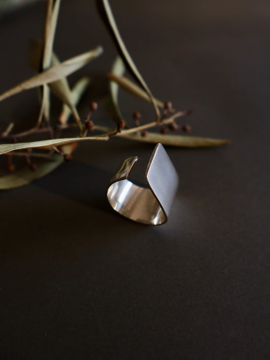 Anillo Plano Abierto