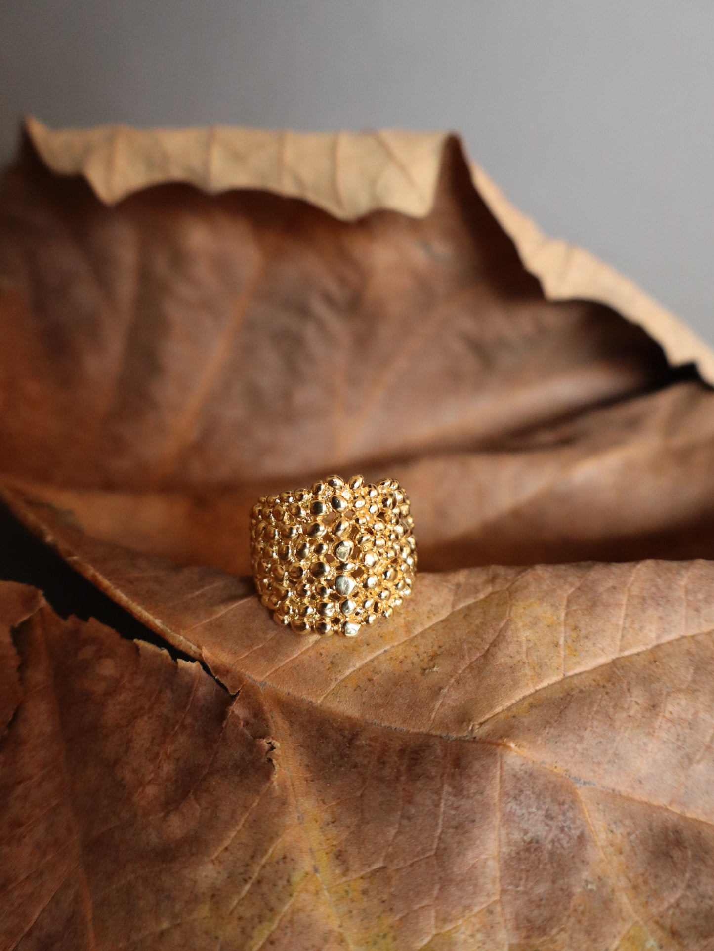 Anillo Panal