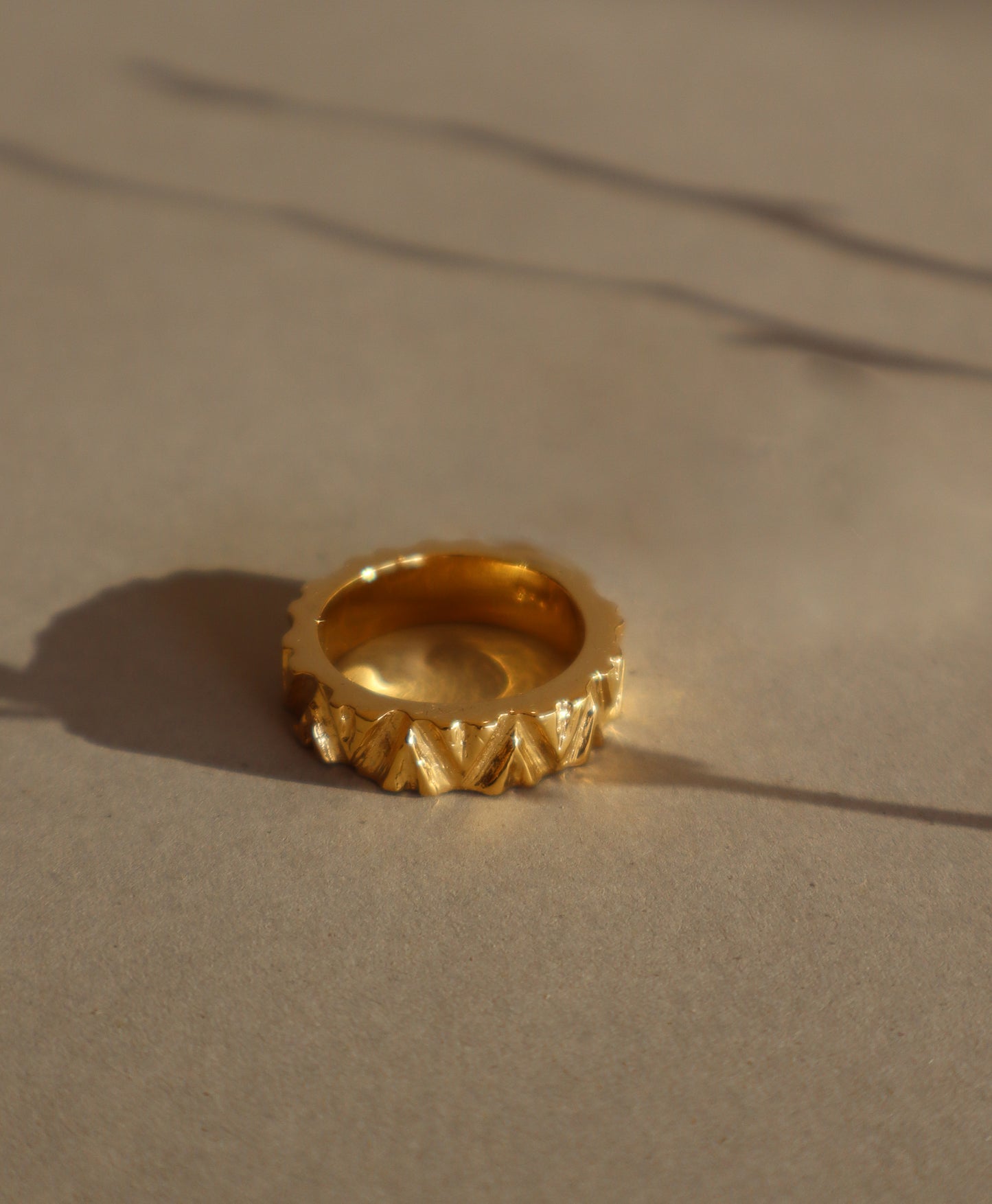 Anillo Maguey