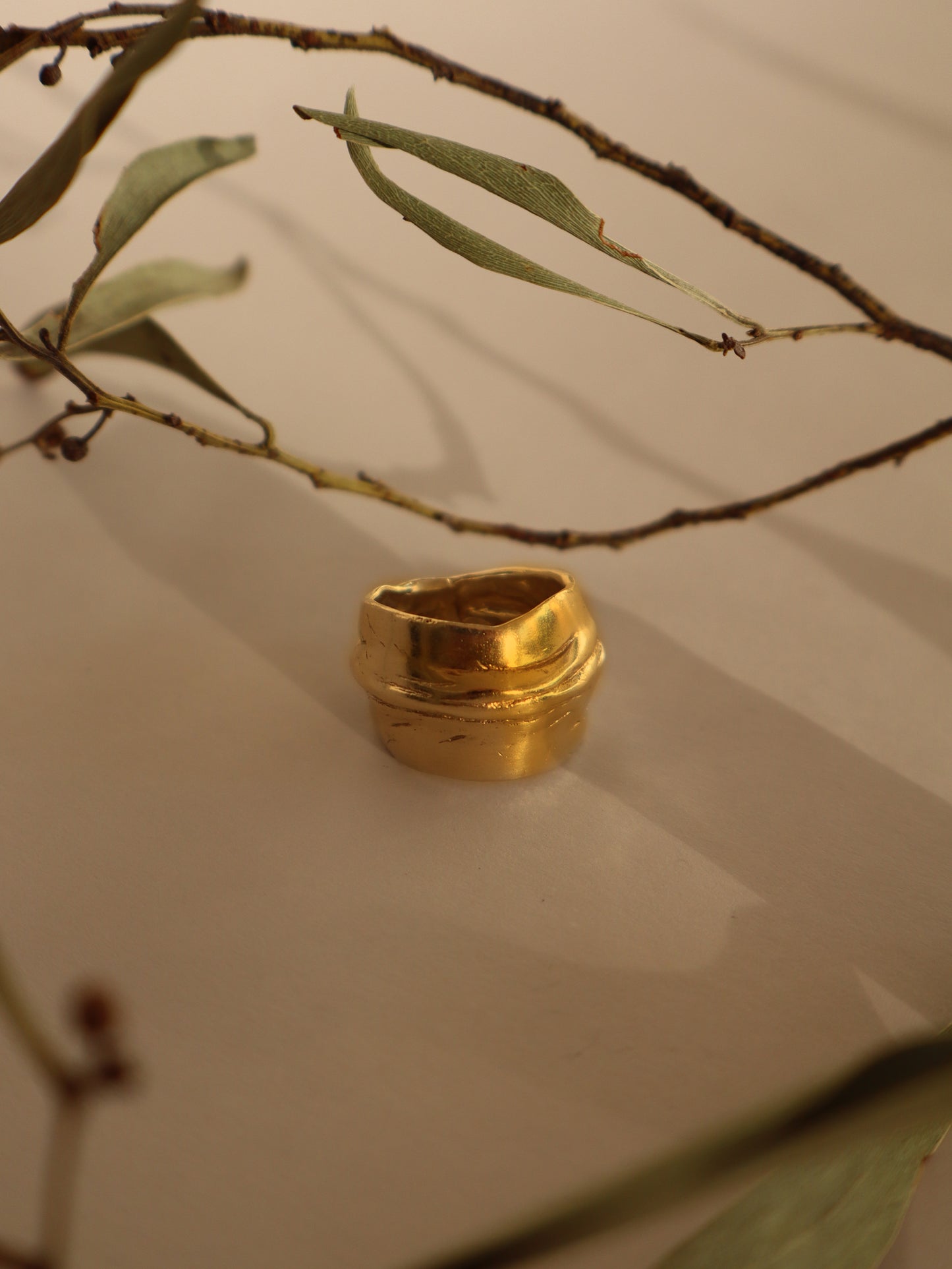 Anillo Pliegue